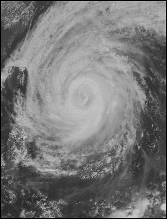 Typhoon Tokage.jpg